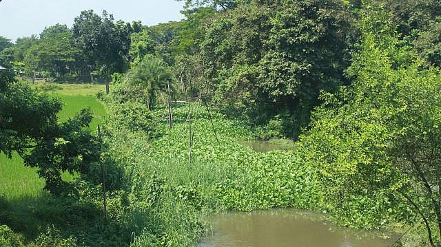 দেখলে মনে হবে না এটি ব্রহ্মপুত্রের শাখা নদী সুতিয়া