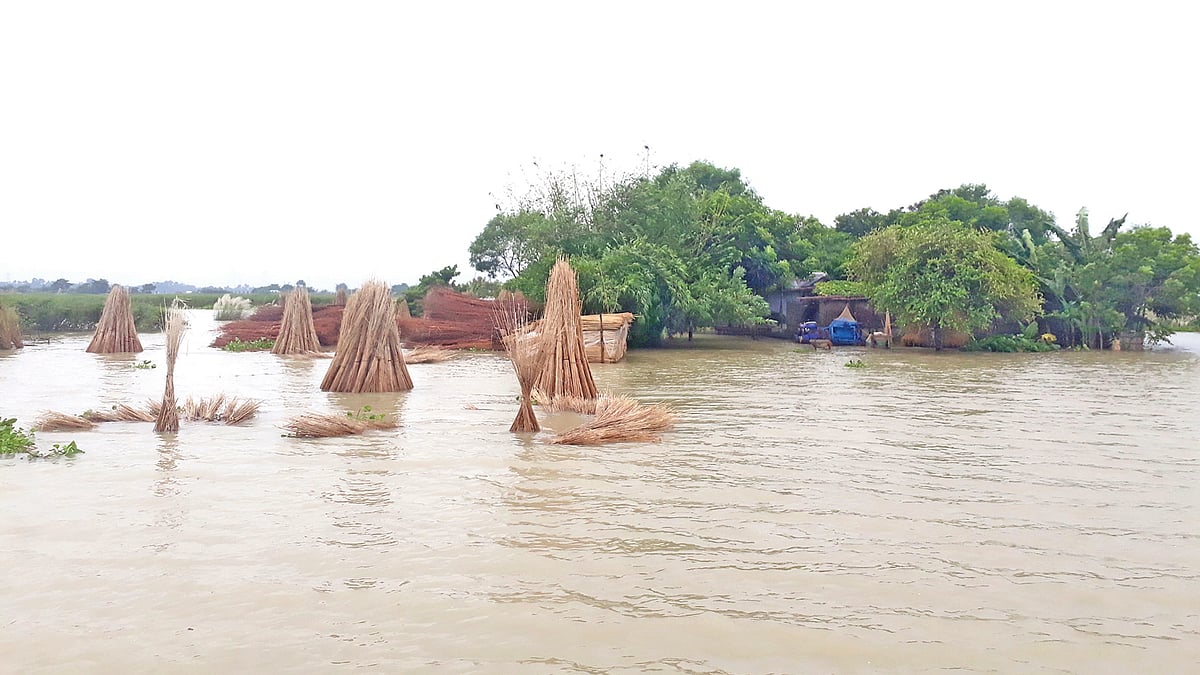 কুষ্টিয়ার দৌলতপুরে বন্যায় দুই ইউনিয়নের ৩৫ গ্রামের মানুষ পানিবন্দী। গত বুধবার উপজেলার রামকৃষ্ণপুর ইউনিয়নের সোনাতলা গ্রামে।  ছবি: প্রথম আলো