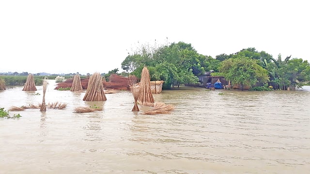 কুষ্টিয়ার দৌলতপুরে বন্যায় দুই ইউনিয়নের ৩৫ গ্রামের মানুষ পানিবন্দী। গত বুধবার উপজেলার রামকৃষ্ণপুর ইউনিয়নের সোনাতলা গ্রামে।  ছবি: প্রথম আলো