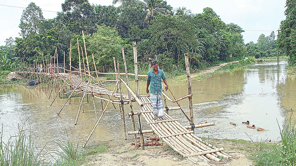 ধামরাইয়ের কাকরান গ্রামে বাঁশের সাঁকো। সম্প্রতি তোলা। ছবি: প্রথম আলো