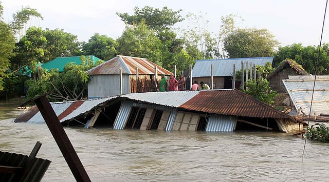পানির স্রোতে বিলীন হচ্ছে খারিজারথাক সরকারী প্রাথমিক বিদ্যালয়। সরকারপাড়া, চিলমারী, কুষ্টিয়া। ছবি: তৌহিদী হাসান