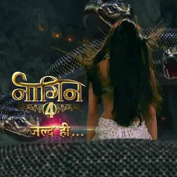 ‘নাগিন ফোর’ সিরিয়ালের পোস্টার। ছবি: ফেসবুক থেকে নেওয়া