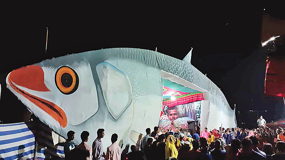 দিনব্যাপী ইলিশ উৎসবে ইলিশের একটি রেপ্লিকার সামনে দর্শনার্থীদের ভিড়। গতকাল রাতে বরগুনার সার্কিট হাউস মাঠে। ছবি: প্রথম আলো