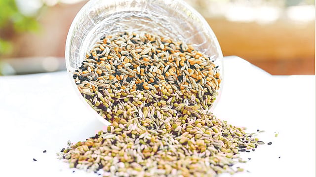 পাঁচফোড়নে থাকে পাঁচ রকমের দানা। কৃতজ্ঞতা: ধরিত্রী, ছবি: নকশা