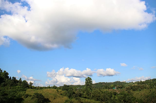 মেঘ বলে আয় আয় ঘন সবুজের শ্যামল ছায়