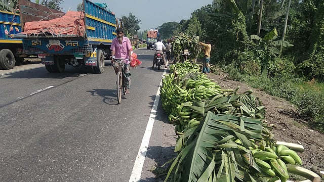 মহাসড়কের পাশে রাখা হয়েছে কলা