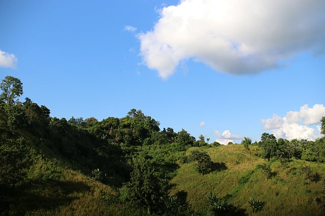 ঘন সবুজ, ঘন নীল আর শুভ্রতা