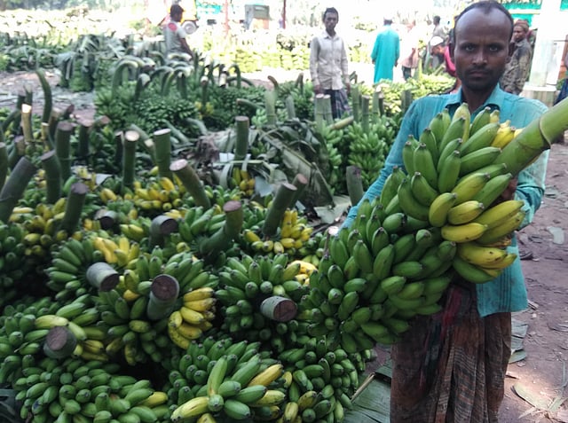 বিক্রি শেষে নেওয়া হচ্ছে কলা