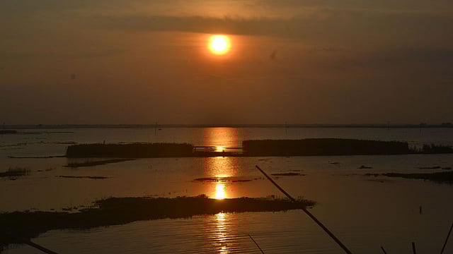 বিলের বুকে বেদনার রং নিয়ে নেমেছে গোধূলি