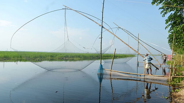 চলছে মাছ শিকার