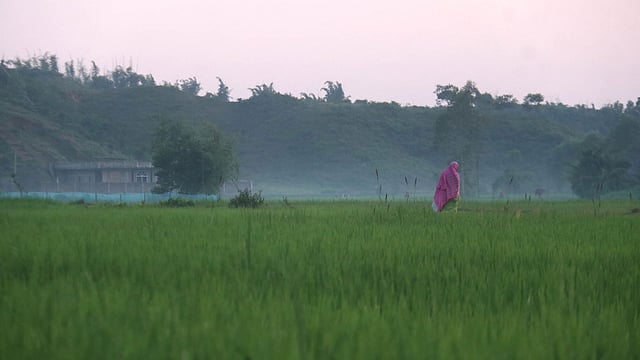 হেমন্তের সকালে কাজে যাচ্ছেন এক ব্যক্তি।