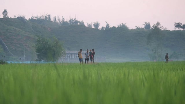 সকাল সকাল চলছে শিশুদের খেলাধুলা।