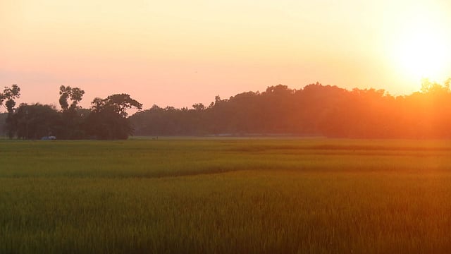 ঘরে ফেরার পালা।
