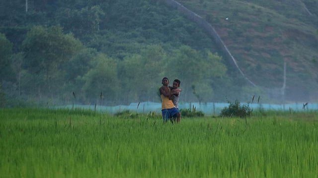দূরে চা বাগানে কুয়াশা।