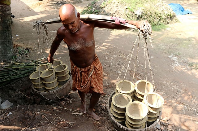 বাজারে বিক্রির জন্য নেওয়া হচ্ছে