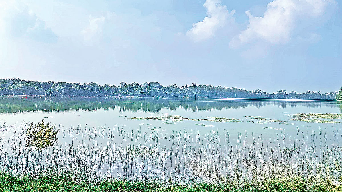 দিনাজপুরের রামসাগর। ছবি: প্রথম আলো