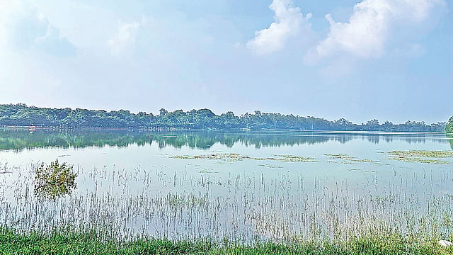 দিনাজপুরের রামসাগর।  ছবি: প্রথম আলো