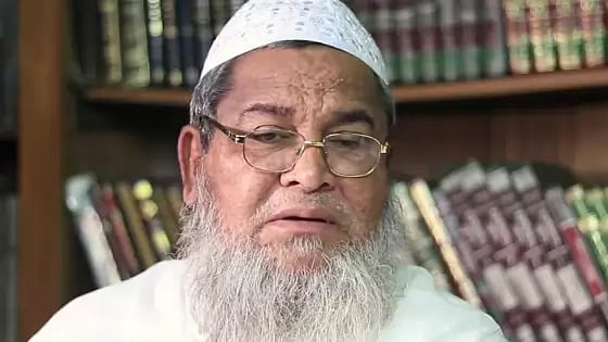 জুনায়েদ বাবুনগরী। ফাইল ছবি