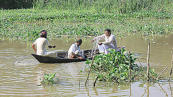 হরিবোল ছবির দৃশ্য।  ছবি: সংগৃহীত