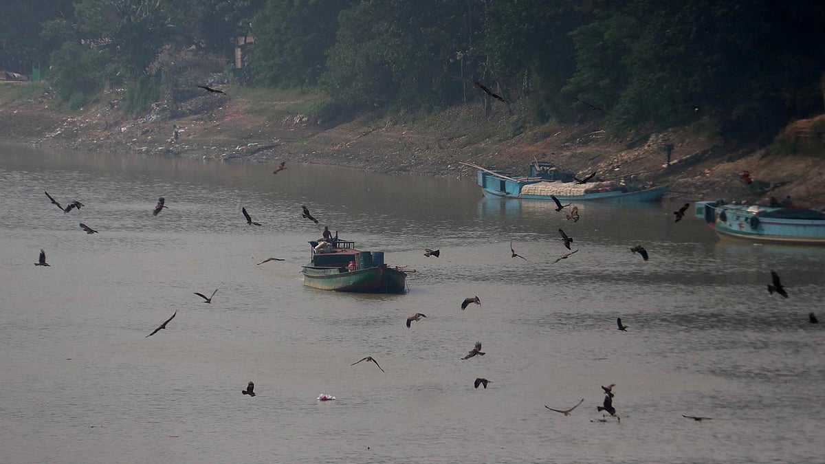 নৌযানকে ঘিরে চিলগুলো উড়ছে
