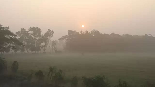 প্রথম আলো ফাইল ছবি