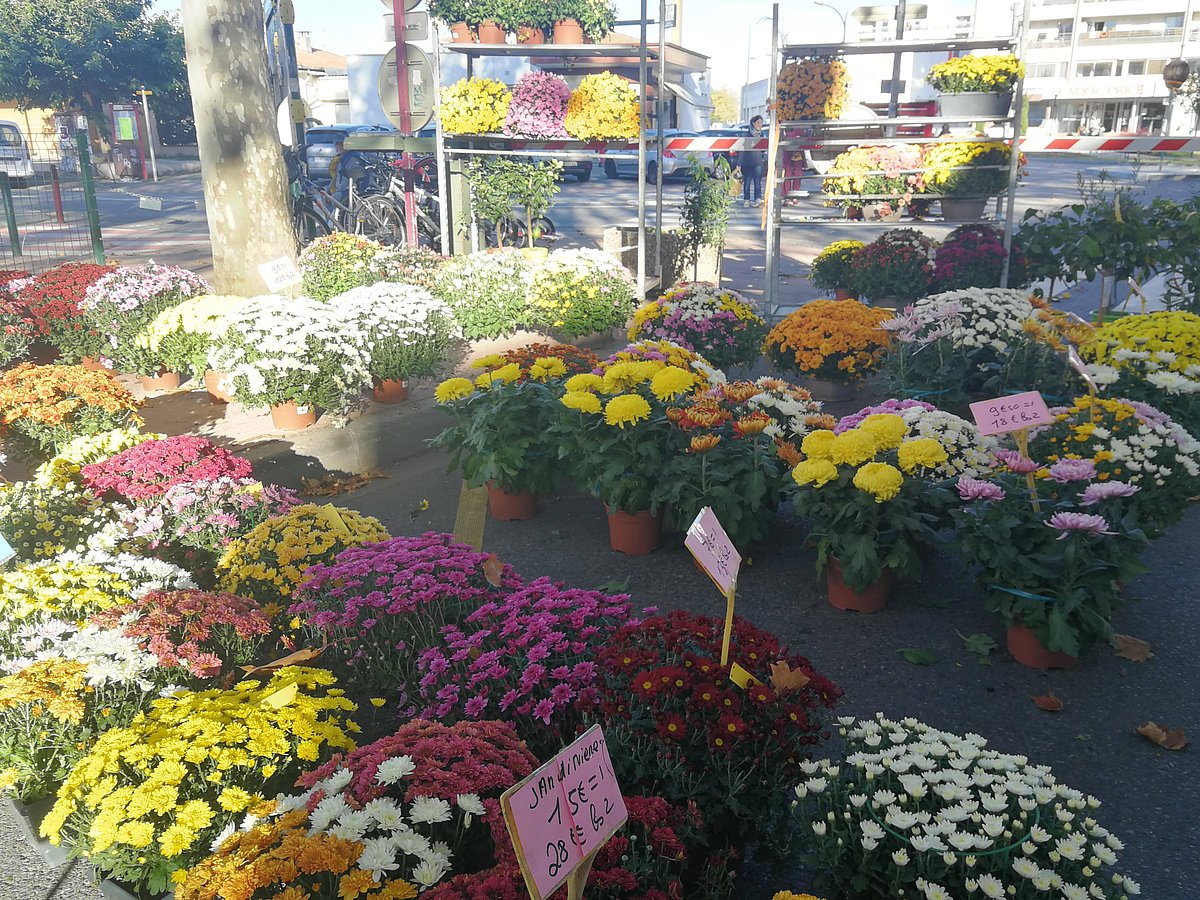 রাস্তার পাশে বিক্রি হচ্ছে বাহারি চন্দ্রমল্লিকা। ছবি: লেখক