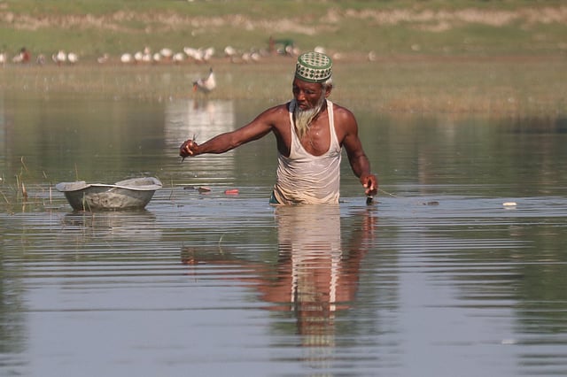 শীত আসার আগেই হাওরে পানি কমছে