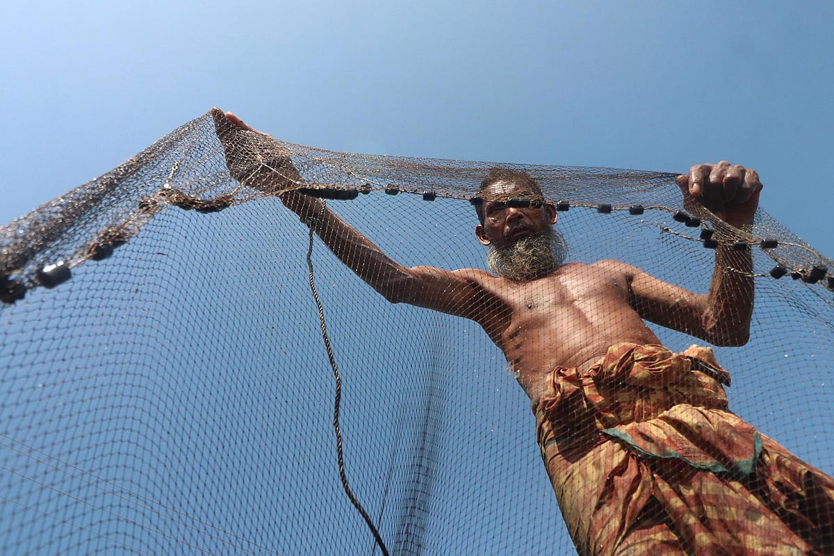 মাছ ধরার প্রস্তুতি