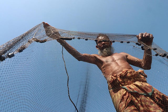 মাছ ধরার প্রস্তুতি