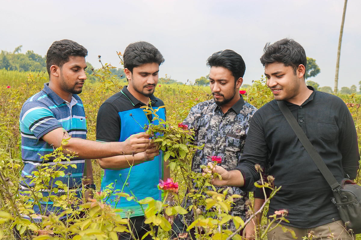 যশোরের গদখালীতে ফুল চাষ দেখতে আসেন দেশের বিভিন্ন প্রান্তের লোকজন। ছবি: লেখক