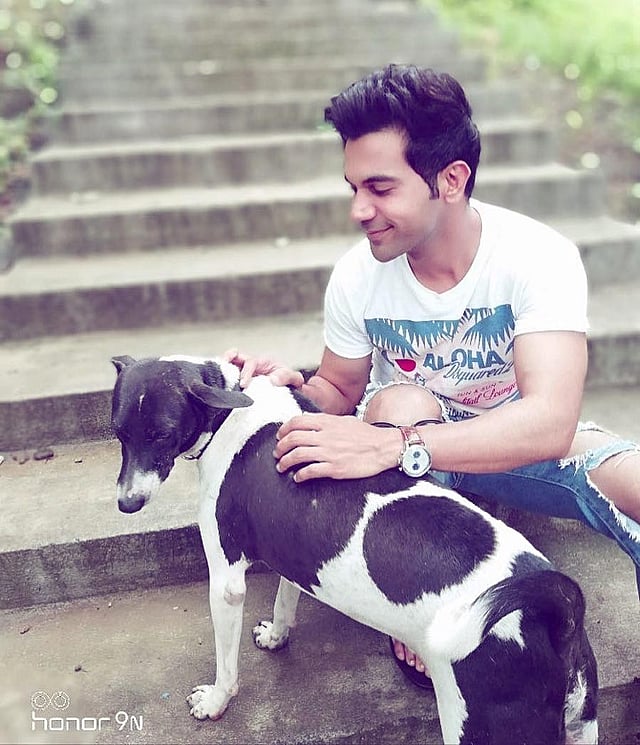 অলস মস্তিষ্কে অ্যালার্জি রাজ কুমার রাওয়ের। ছবি: ইনস্টাগ্রাম