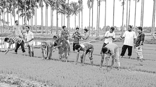 দেশের কৃষি উন্নয়নে অনন্য ভূমিকা রাখছেন বাংলাদেশ কৃষি বিশ্ববিদ্যালয়ের শিক্ষার্থীরা। ছবি: প্রথম আলো