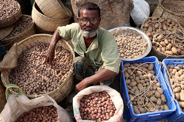 হাটে-দোকানে বিক্রির জন্য রাখা আলুর বীজ