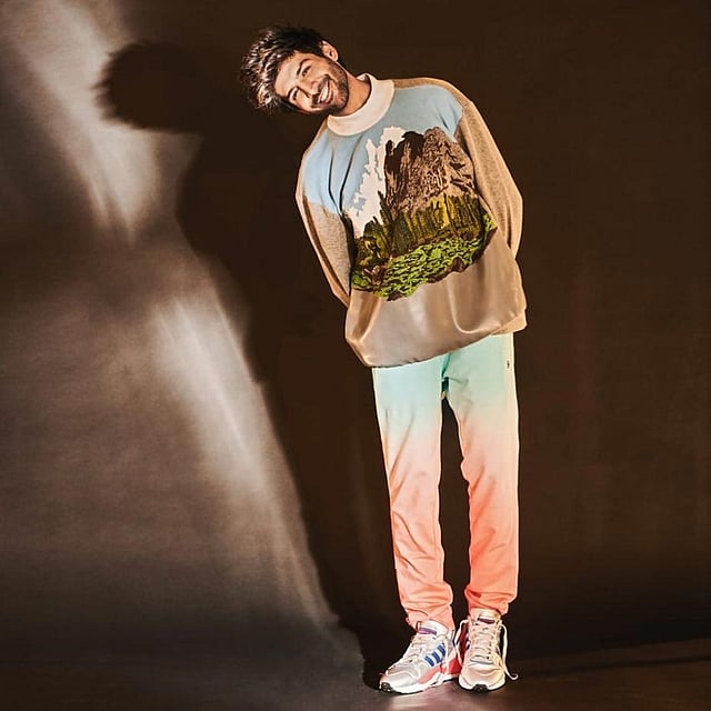 কার্তিক আরিয়ান। ছবি: ইনস্টাগ্রাম থেকে নেওয়া