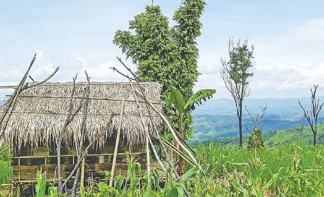 জুমখেতে বসার জন্য জুমঘর