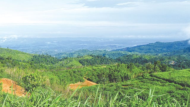 কেওক্রাডংয়ের চূড়ায় দাঁড়ালে মন জুড়িয়ে দেয় পাহাড়ের সবুজ প্রকৃতি। ছবি: সংগৃহীত