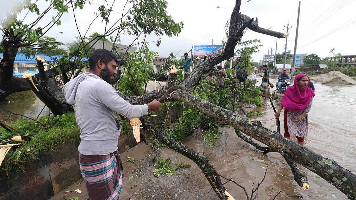 জেলার দাকোপ ও দিঘলিয়া ইউনিয়নে দুজন মারা গেছেন ঝড়ের সময় ঘরে গাছ চাপা পড়ে। ছবি: সাদ্দাম হোসেন