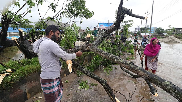 জেলার দাকোপ ও দিঘলিয়া ইউনিয়নে দুজন মারা গেছেন ঝড়ের সময় ঘরে গাছ চাপা পড়ে। ছবি: সাদ্দাম হোসেন