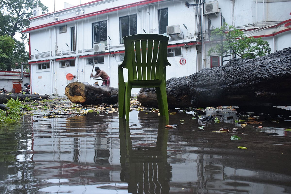 ঘূর্ণিঝড় ‘বুলবুল’–এর তাণ্ডবে পশ্চিমবঙ্গের কয়েকটি জেলায় গাছপালা ভেঙে পড়েছে। ভেঙে পড়া গাছ কাটছেন এক ব্যক্তি। ছবি: ভাস্কর মুখার্জি