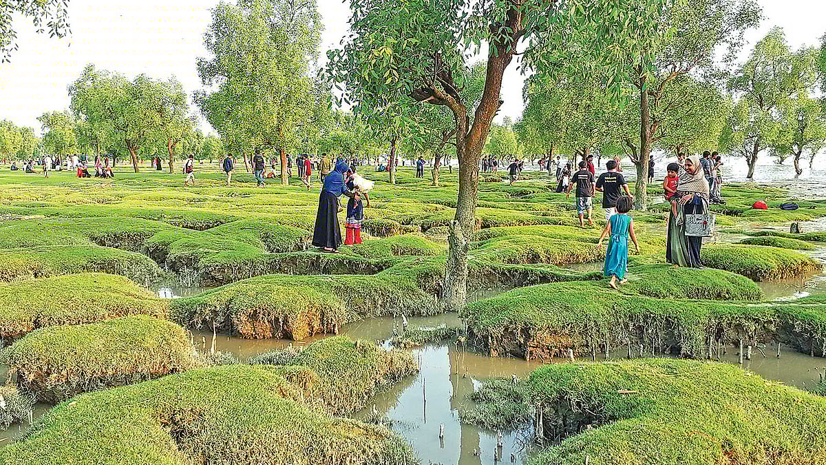 সবুজ বিছানো সীতাকুণ্ডের গুলিয়াখালী সৈকত। সাম্প্রতিক ছবি। প্রথম আলো