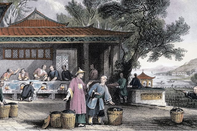 ব্রিটিশ চিত্রশিল্পী থমাস আলমের আঁকা। ১৮৪৩ সালে চীনে চা প্রক্রিয়াজাতকরণ ও প্যাকেজিংয়ের চিত্র এটি। স্টুয়ার্ট হেভার (২০১৭) রচিত নিবন্ধ ‘দ্য গ্রেট টি রবারি: হাউ দ্য ব্রিটিশ স্টোল চায়নাজ সিক্রেটস অ্যান্ড সিডস-অ্যান্ড ব্রোক ইটস মনোপলি অন দ্য ব্রিউ’ থেকে ছবিটি নেওয়া।