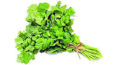 ছবি: প্রথম আলো