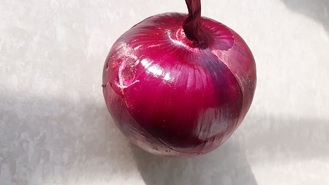 লাল ও কালচে লাল রঙের বড় আকারের এই পেঁয়াজটির ওজন ৩৫০ গ্রাম, প্রতিটির দাম ৭০ টাকা।। ছবি: মাসুদ মিলাদ