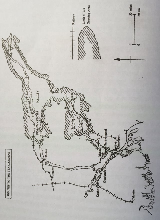আসাম ও সিলেটের বিভিন্ন স্থানের চা–বাগানগুলোর মধ্য দিয়ে রেললাইন সম্প্রসারণের চিত্র। দ্য ইন্ডিয়ান ইকেনমিক অ্যান্ড সোস্যাল হিস্ট্রি রিভিউ, ভলিউম-১৭, নম্বর-২, এপ্রিল-জুন, ১৯৮০ সংখ্যায় প্রকাশিত।