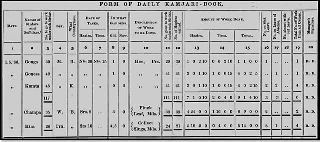 গার্ডেন বুক: ডেইলি কামজারি বুক। এফ টি আর দাসের লেখা ‘দ্য ইয়াং টি-প্ল্যান্টার্স কোম্পানিয়ন: আ প্র্যাকটিক্যাল ট্রিয়েটিজ অন দ্য ম্যানেজমেন্ট অব এ টি-গার্ডেন ইন আসাম (লন্ডন ১৮৮৬)’ শীর্ষক গ্রন্থ থেকে ছবিটি নেওয়া হয়েছে।