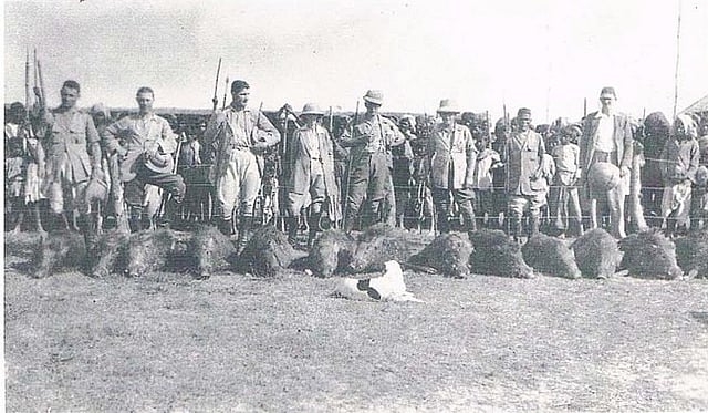 বরাহ শিকারের এই ছবিটি ধৃতি কান্ত রাজকুমারের ‘হিস্ট্রি অব টি প্ল্যান্টার অ্যান্ড লেবারারস ইন কলোনিয়াল কাছার: ১৮৫৫-১৯৪৭’ শীর্ষক পিএইচডি অভিসন্দর্ভ থেকে নেওয়া।