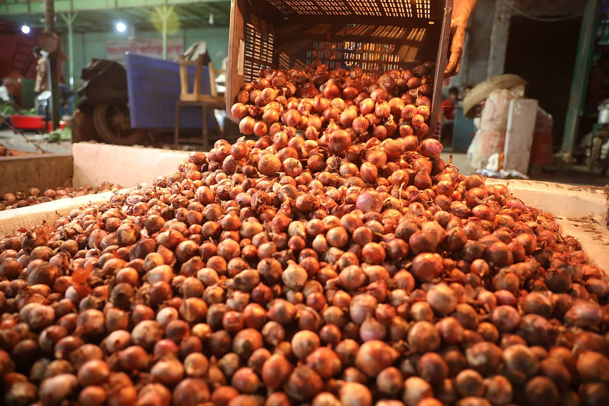 ফাইল ছবি