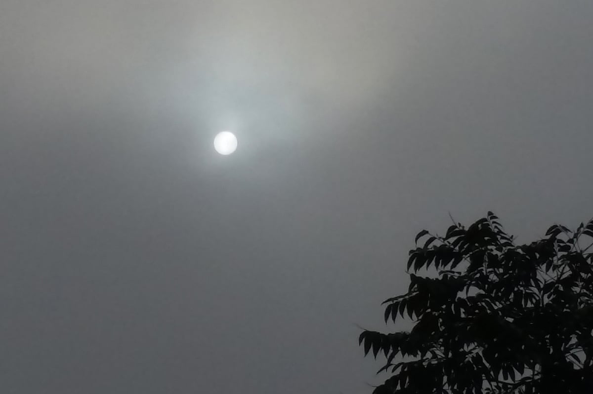 কুয়াশার চাদরে ঢেকে গেছে সূর্যের কিরণ, সকালের আকাশ।