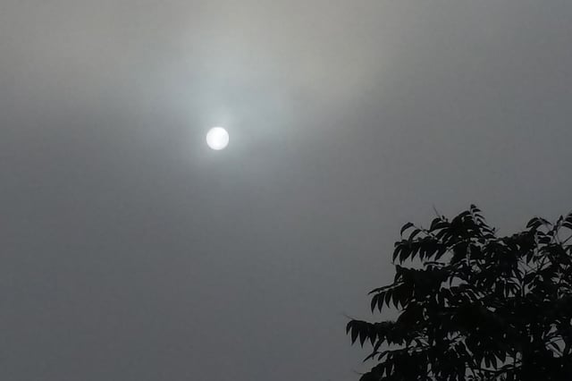 কুয়াশার চাদরে ঢেকে গেছে সূর্যের কিরণ, সকালের আকাশ।