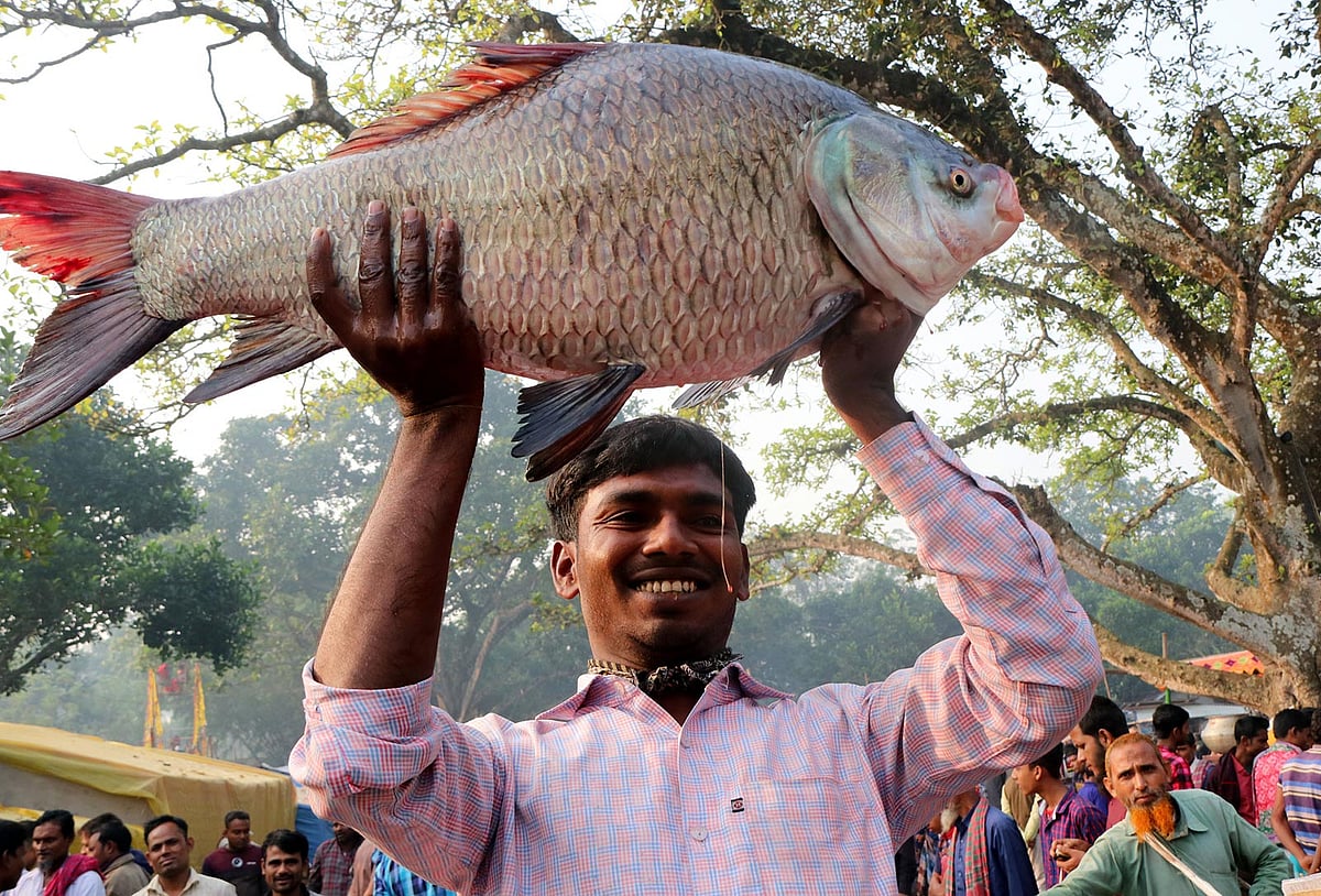 কাতল মাছটির ওজন ১০ কেজি। বিক্রেতা মাছটির দাম হাঁকেন ১০ হাজার টাকা। ছবি: লেখক
